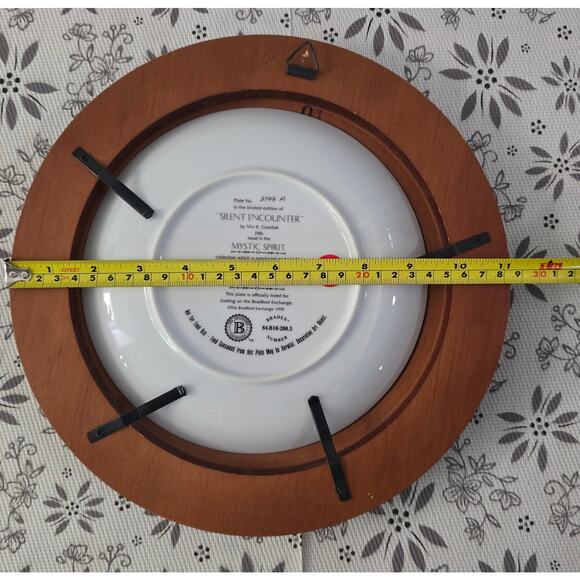 Vintage 1995 Bradford Exchange Mystic Spirit “Silent Encounter”Wolf Plate Framed - Picture 9 of 16